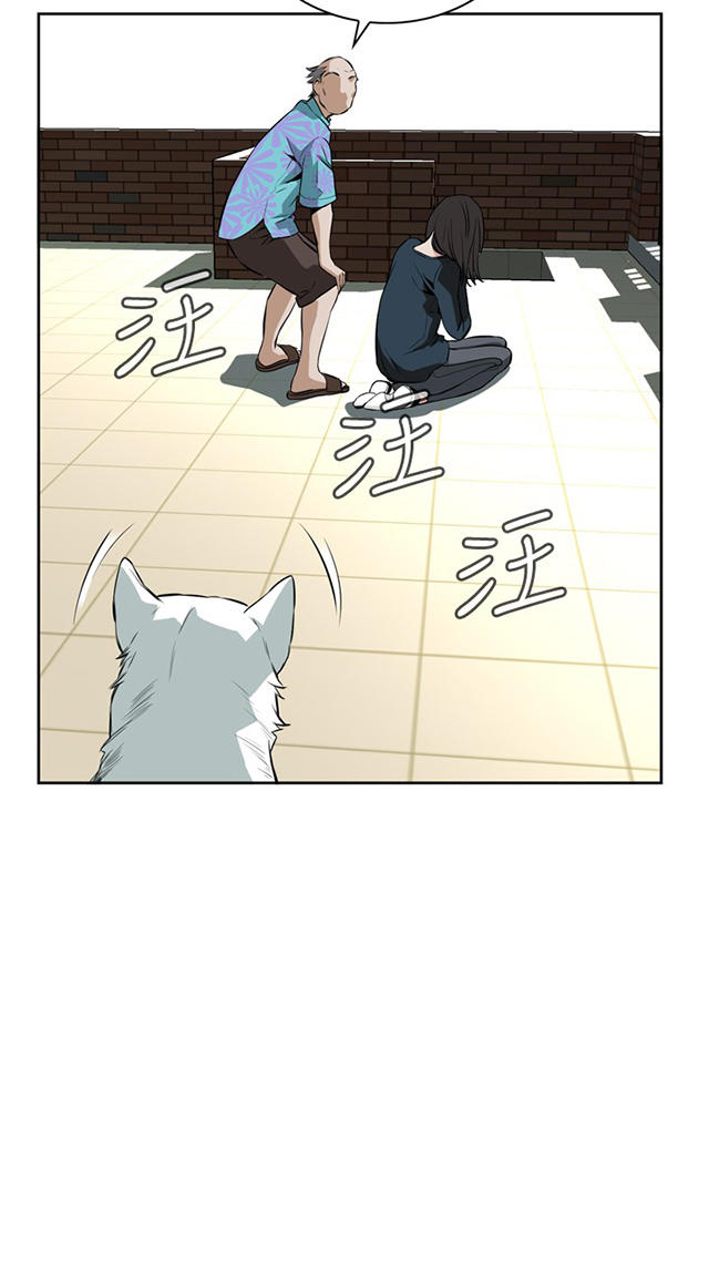 第35章天台（2）-21