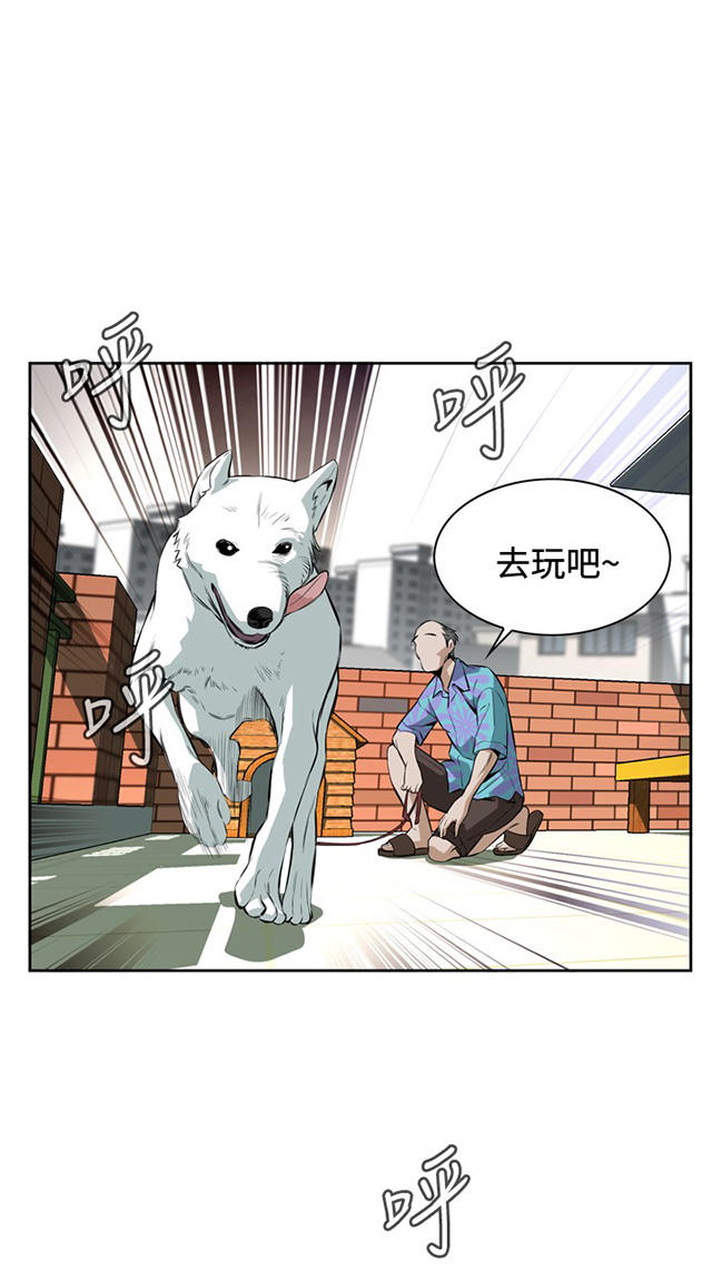 第35章天台（2）-25