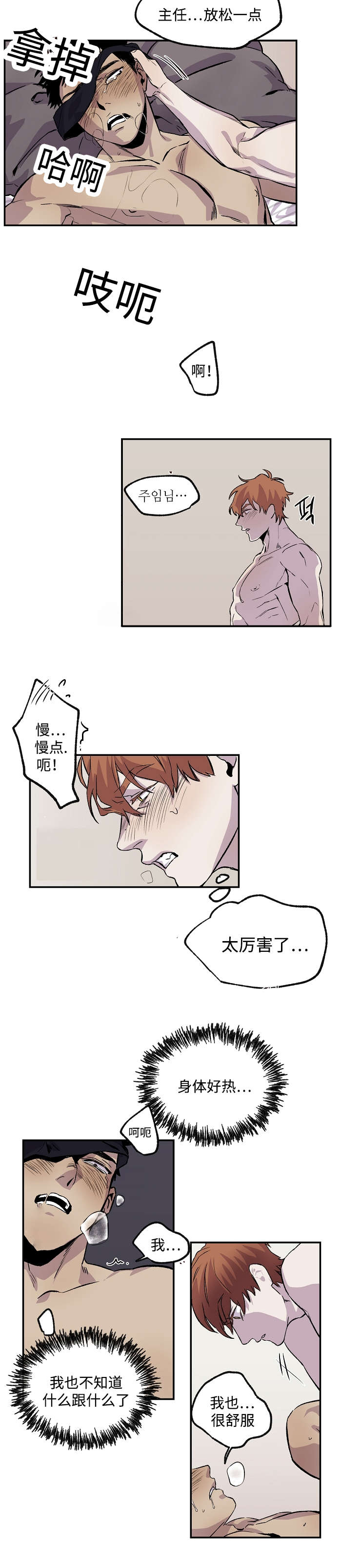 27_已经不知道了-11