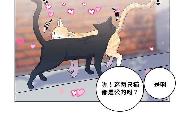 34_普通朋友-5