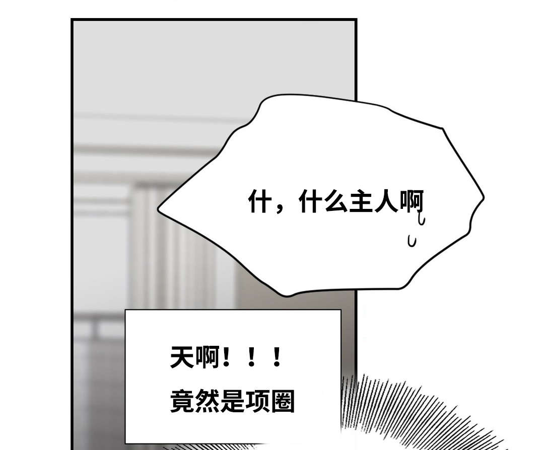 10_背后写字-5