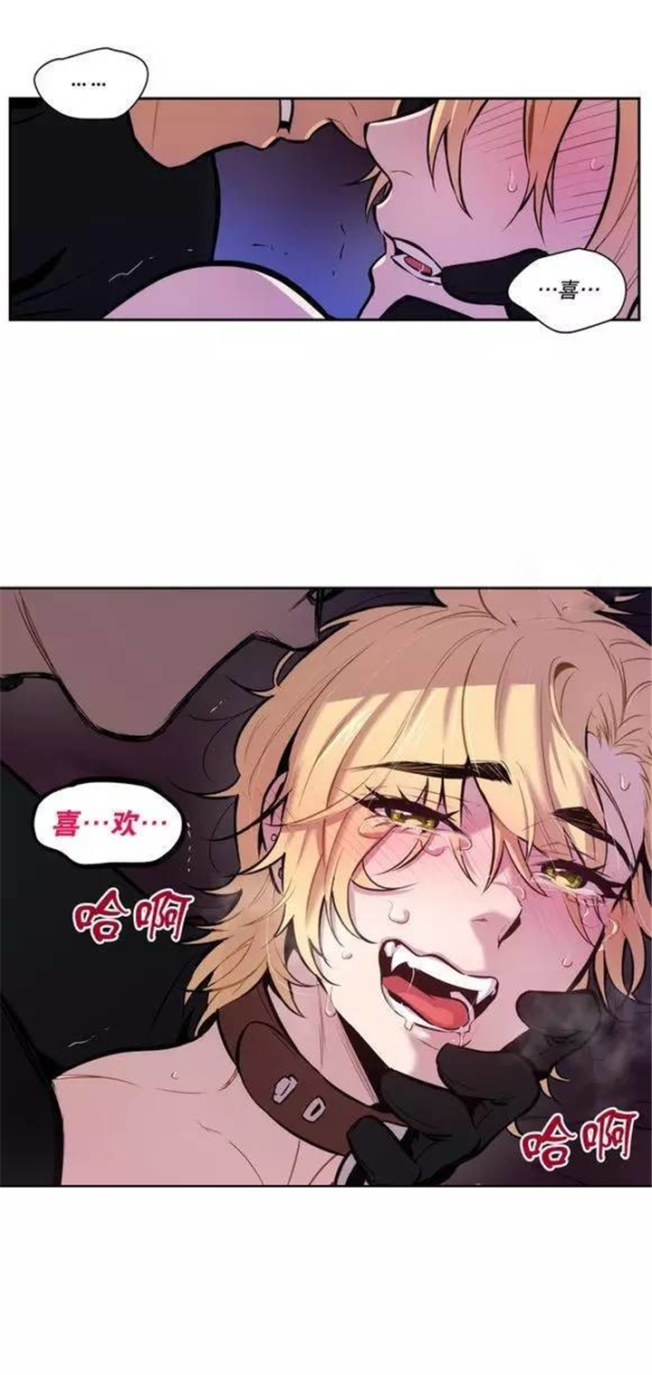 都是骗人的-3