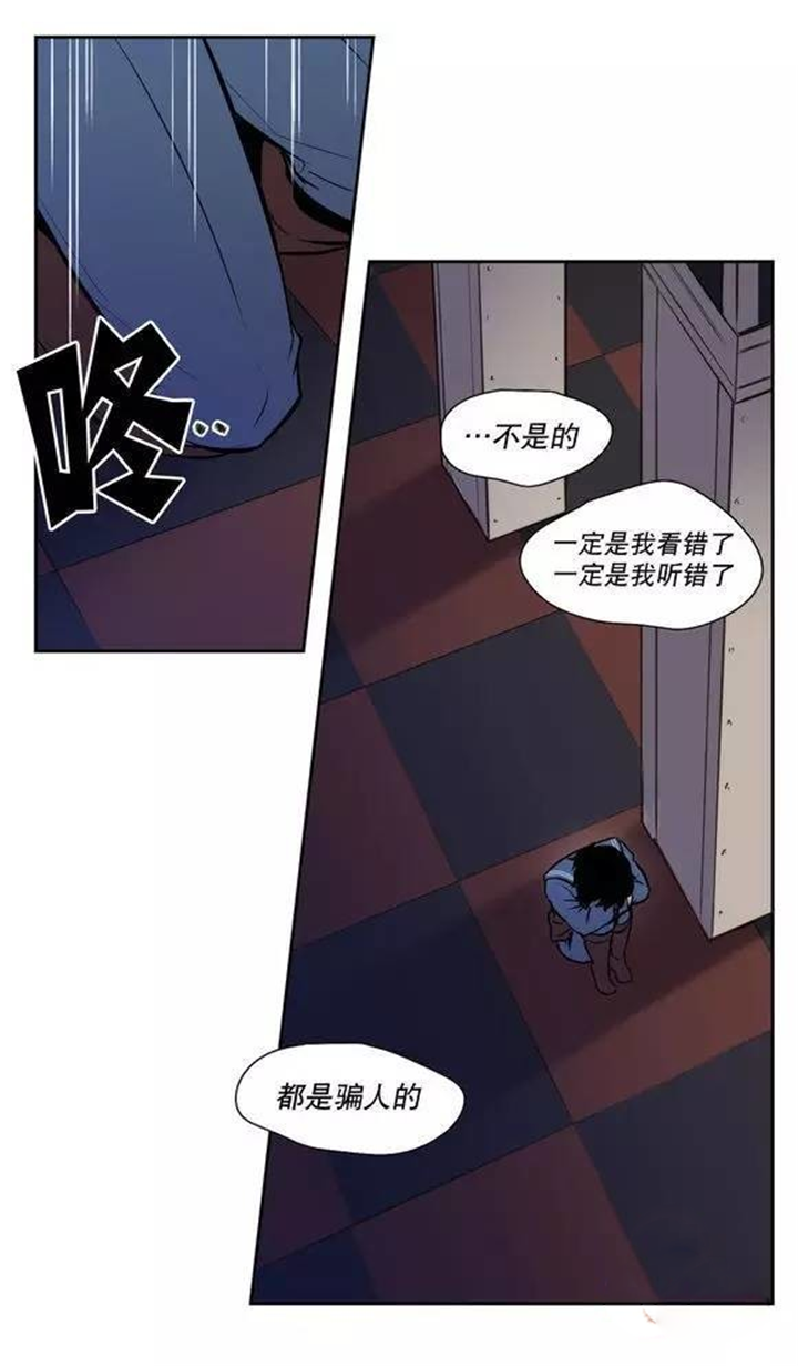 都是骗人的-11