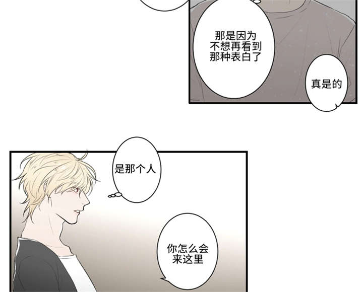 3_挡箭牌-1
