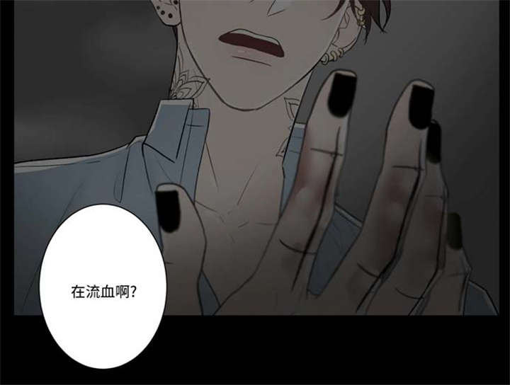 74_发现-14