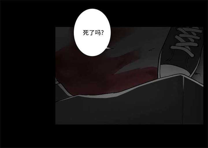 74_发现-18