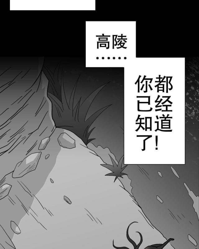 第52话-55