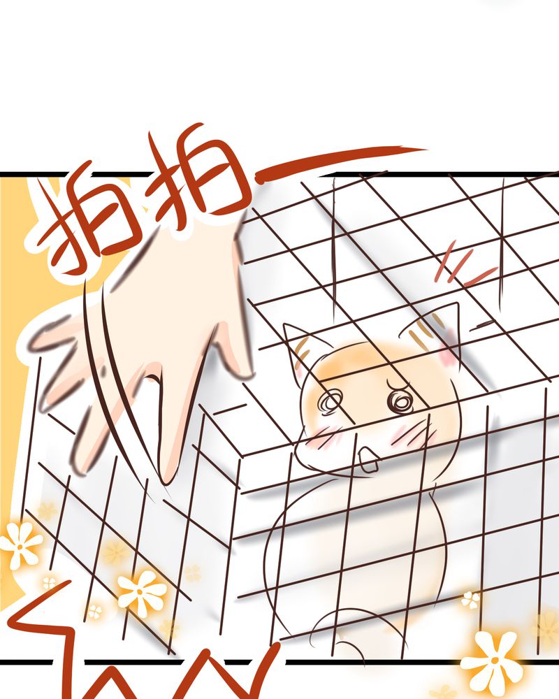 18_名为【感情】的花蕾-22