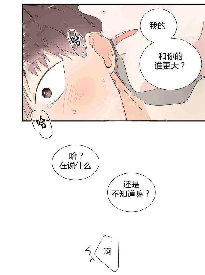 哪个更大-13