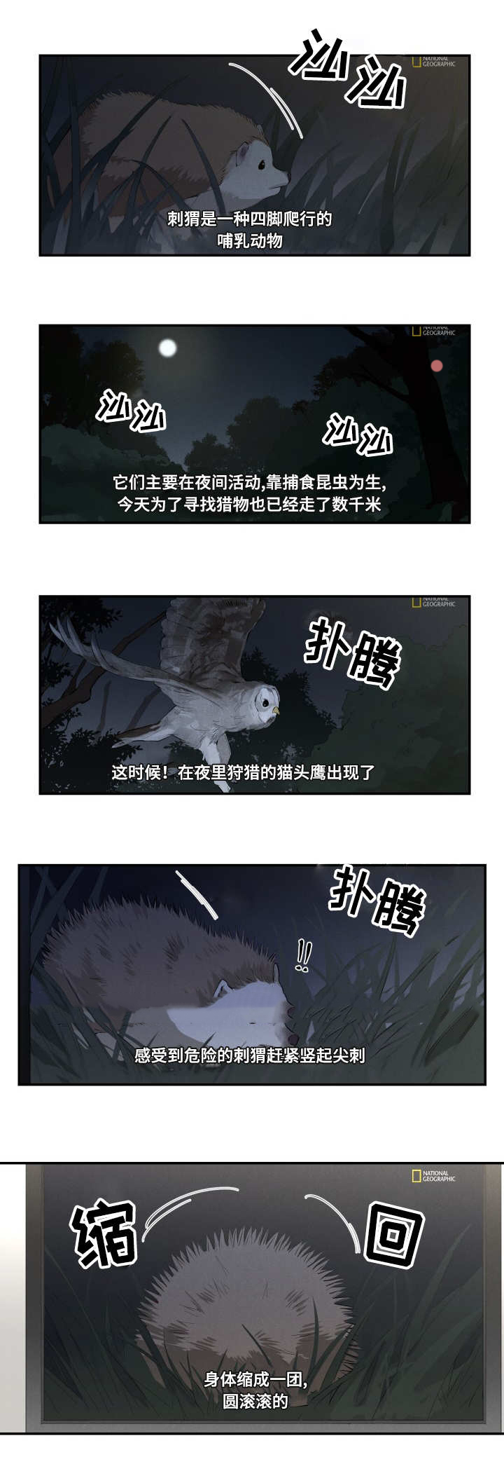 7_生日-9