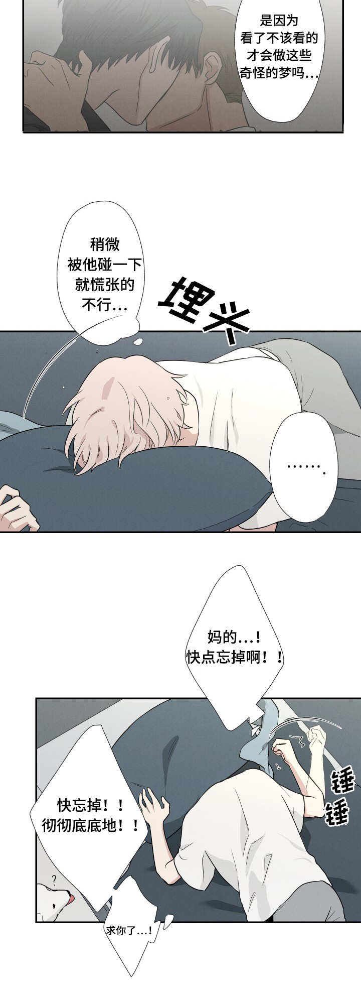 18_烟花庆典-10