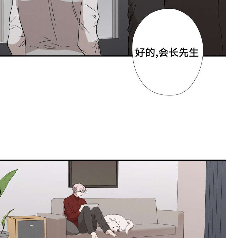 29_喜欢你-14