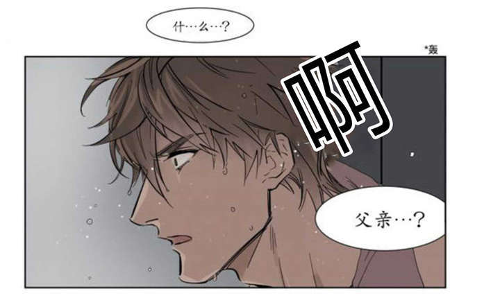 父亲的死讯-10