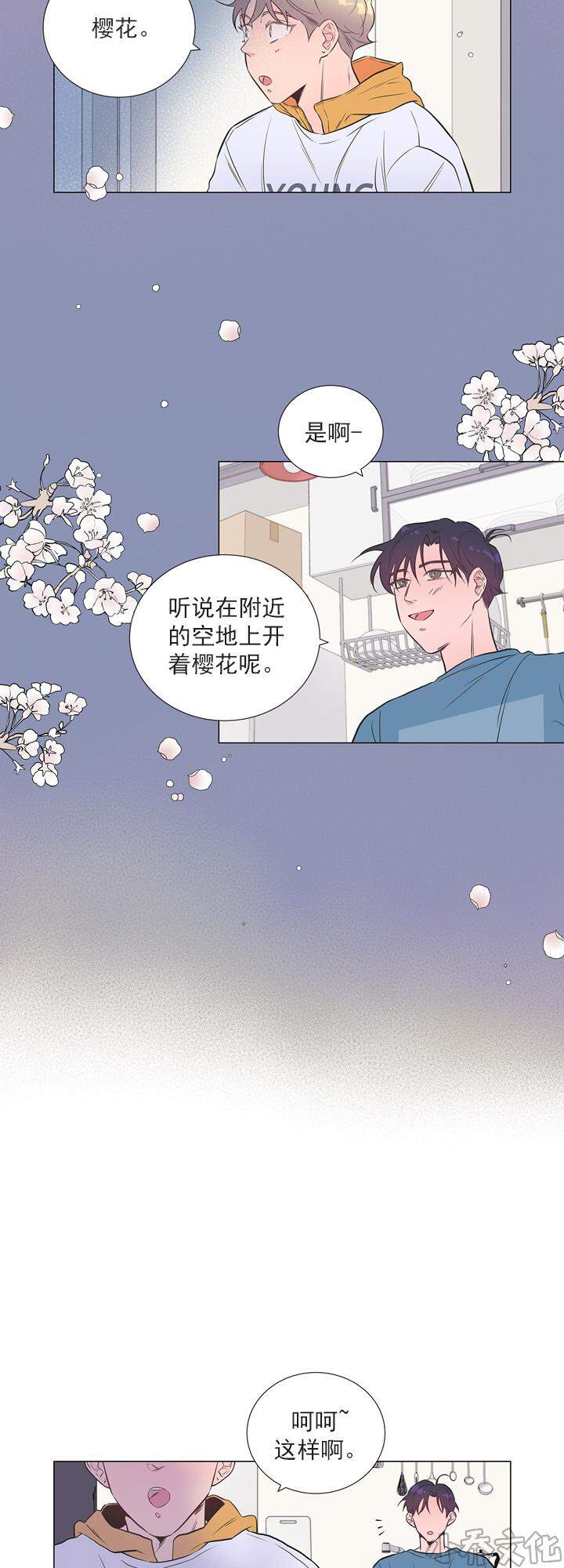 第13章 樱花-6