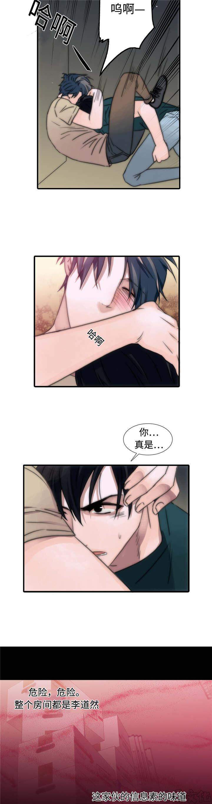 第11章 危险-9
