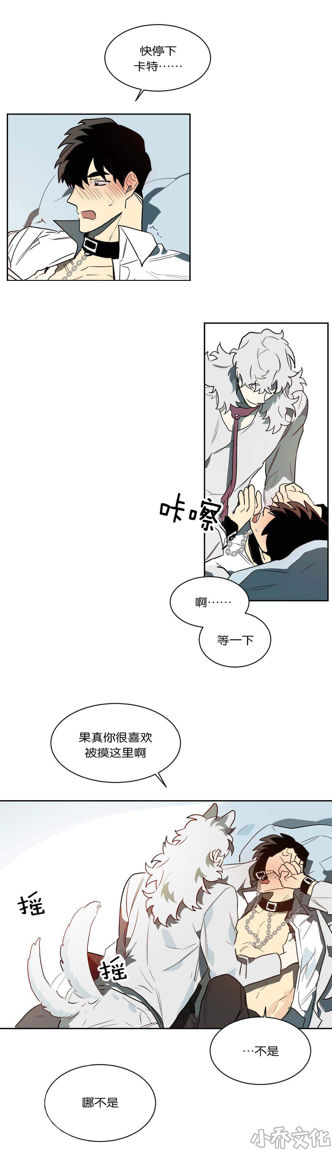 第44章 卡特-1