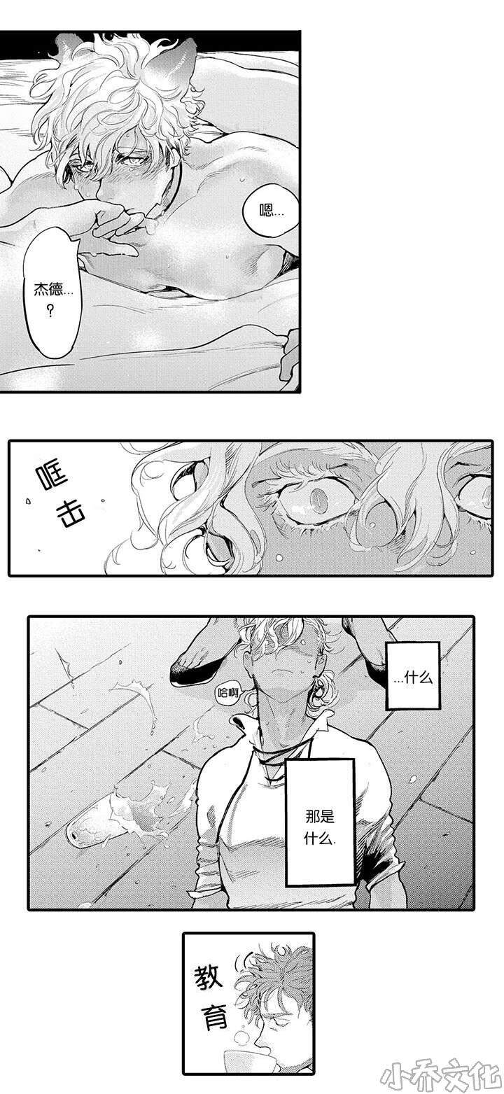 第17章 结伴而行-5