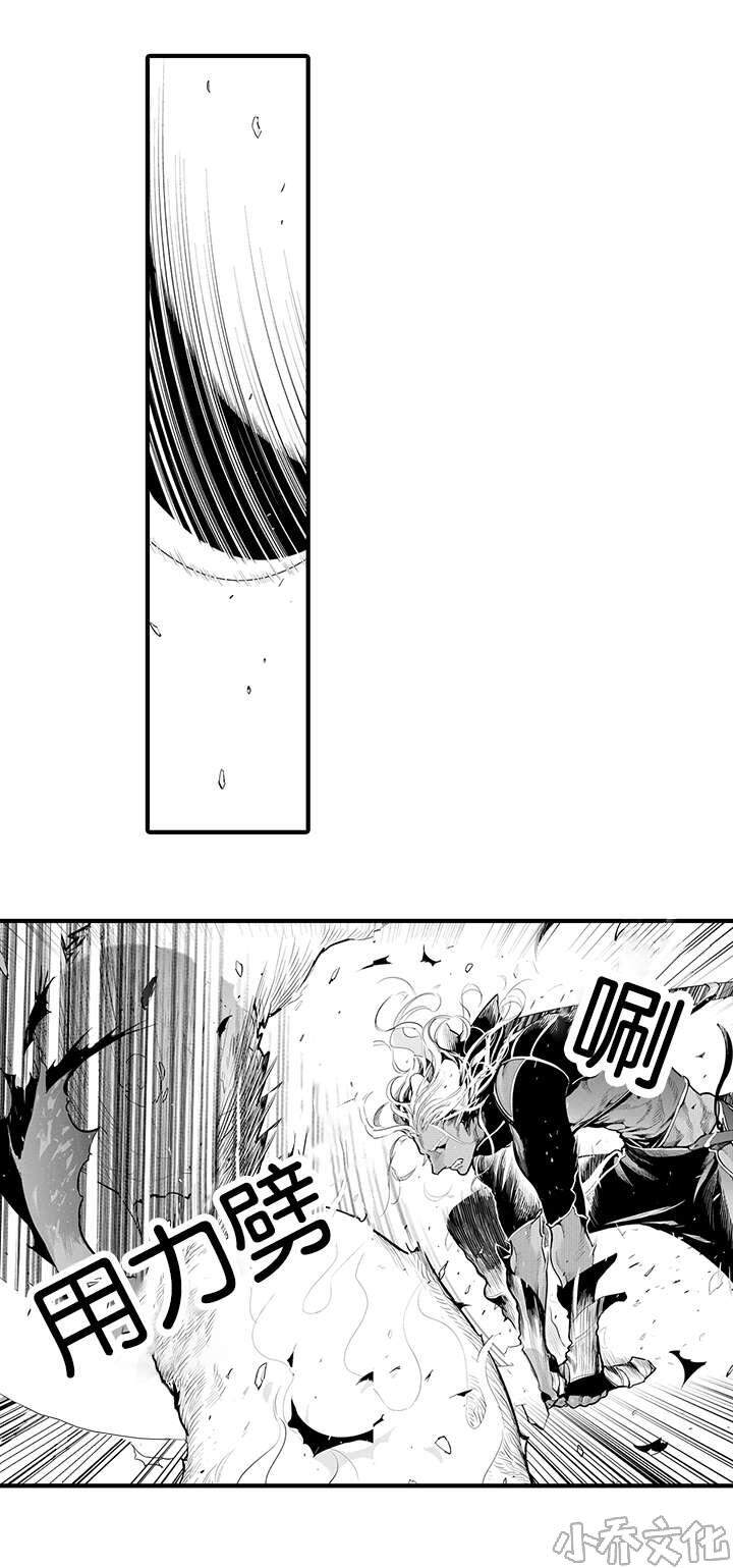 第20章 遇袭-12