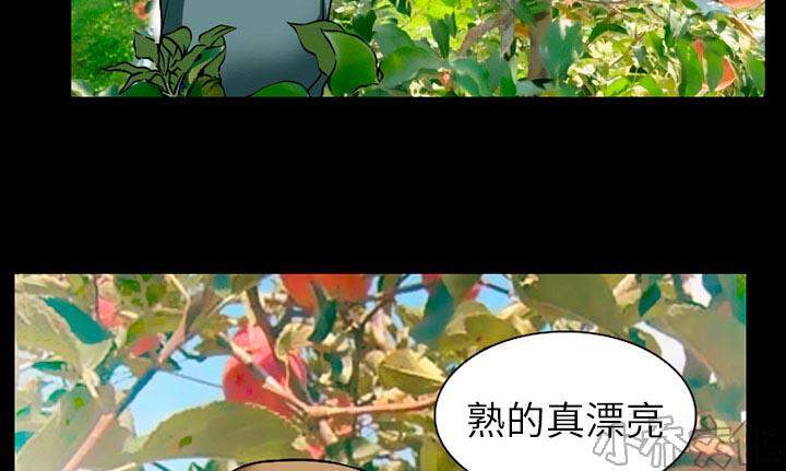 雷普利爱情韩漫全集-第48章 都准备好了无删减无遮挡章节图片 