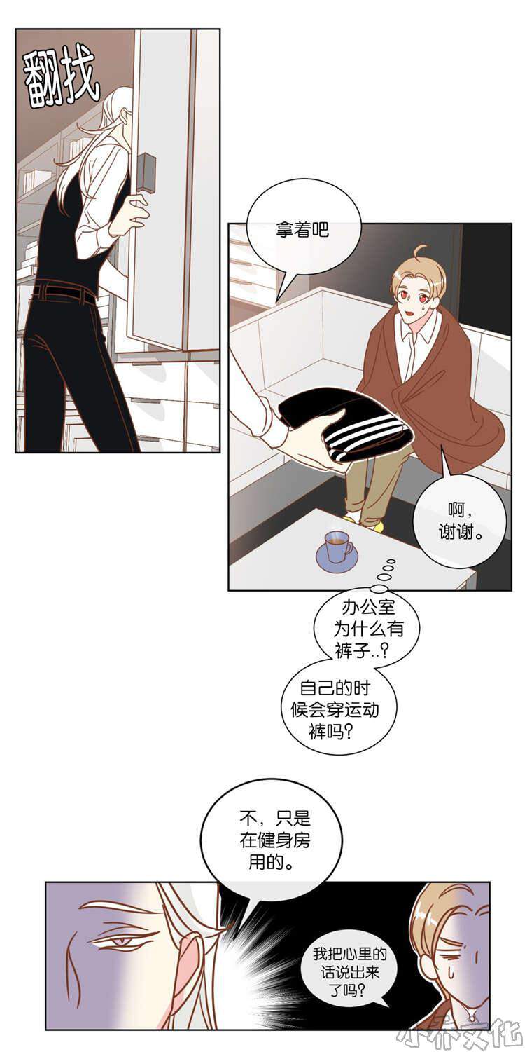 第12章 陪同-2