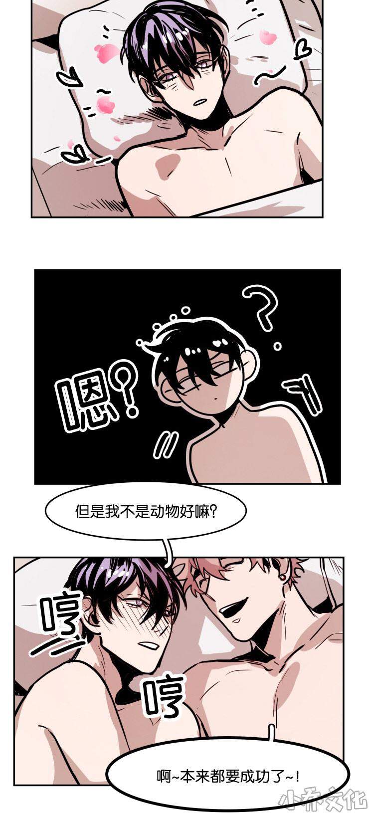 第35章 表达爱意-4