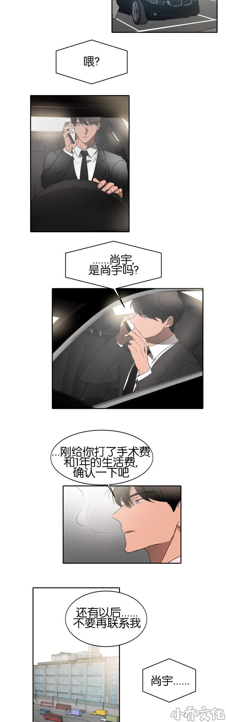 第20章 决心-11