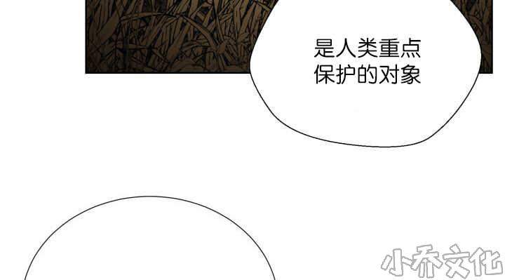 第64章 超无聊的-31