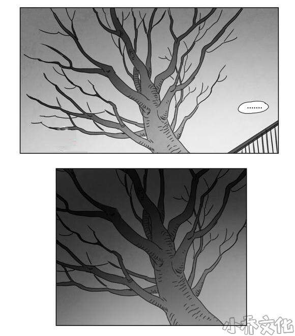 第14章 条件-38