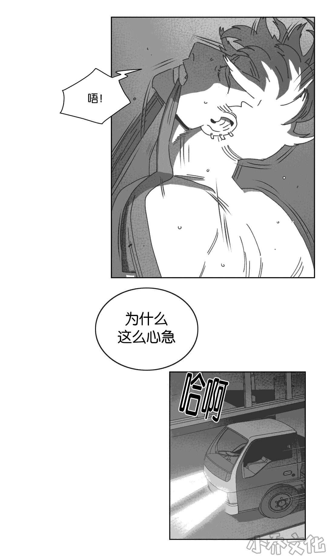 第33章 科纳-19