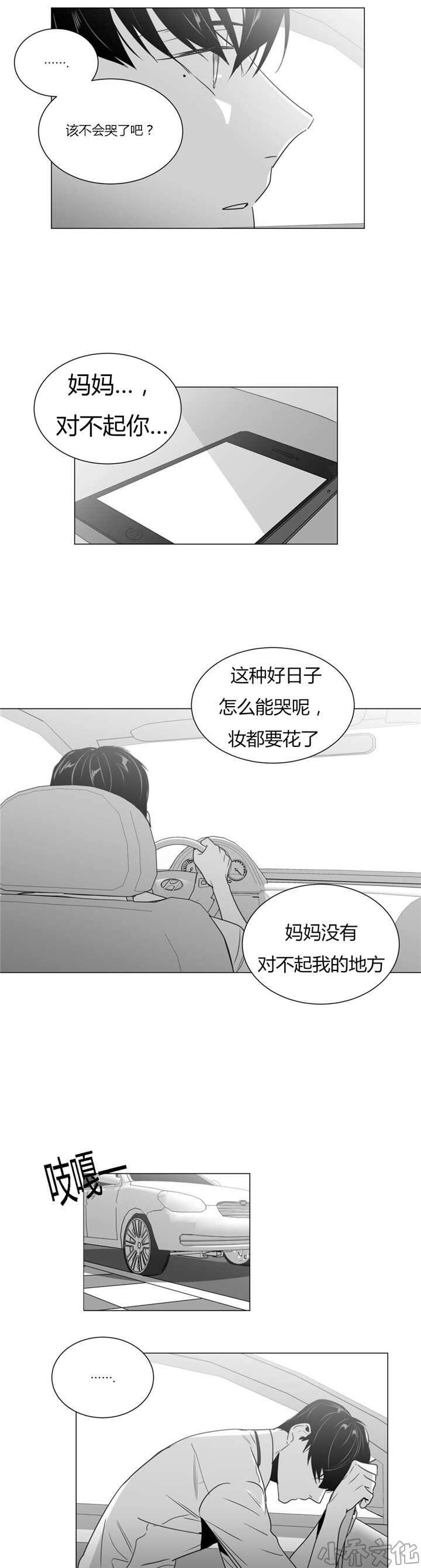 第33章 母亲的婚礼-12