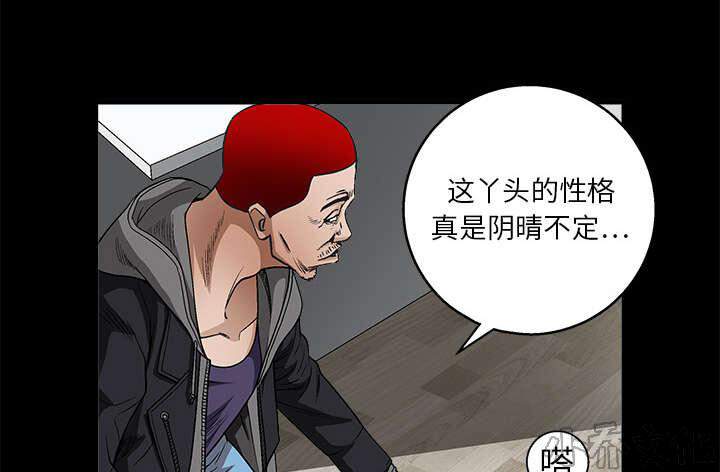 第23章 错觉-12