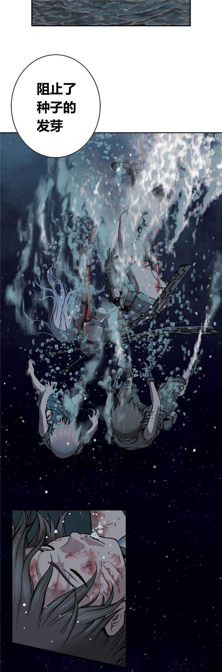 第56章 计划-12