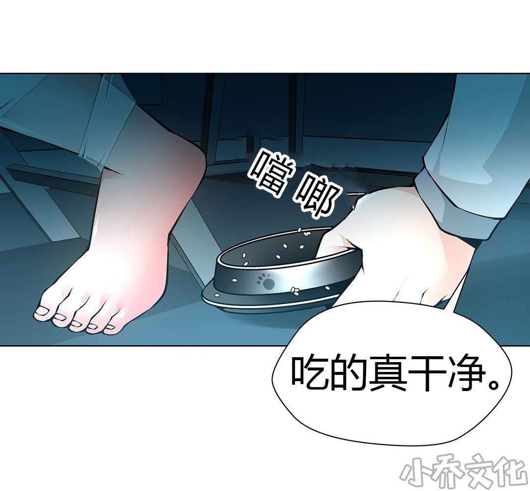 第52章 梅花-12