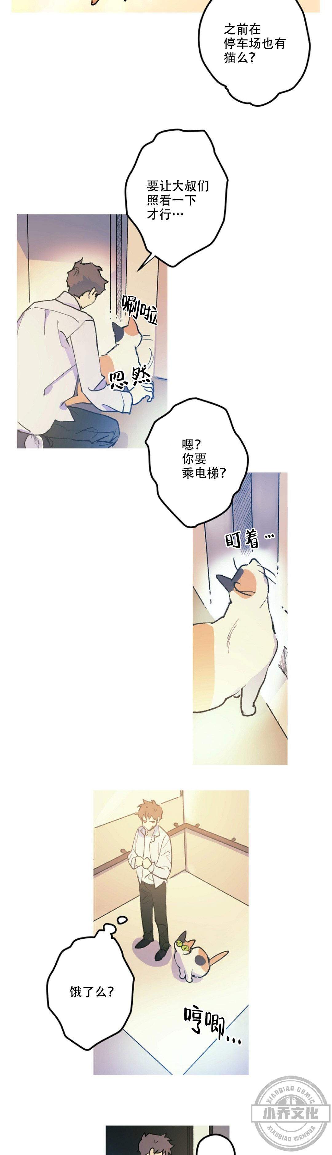 第11章 猫咪-5