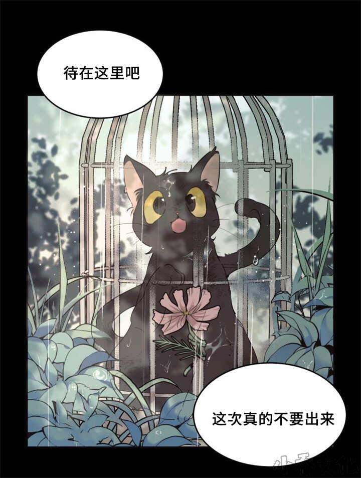 第27章 新的猫咪-4