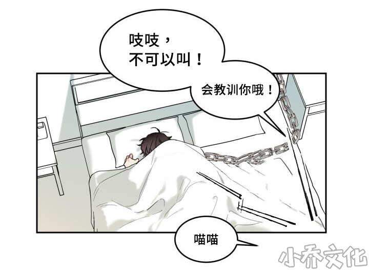 第28章 生气了吗-4