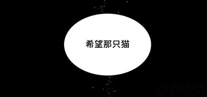 第46章 只是羡慕-6