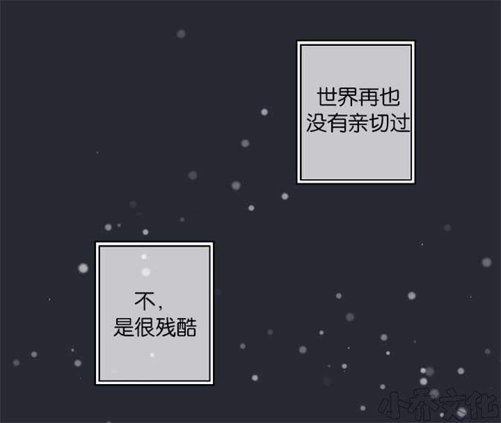 第21章 自杀-18