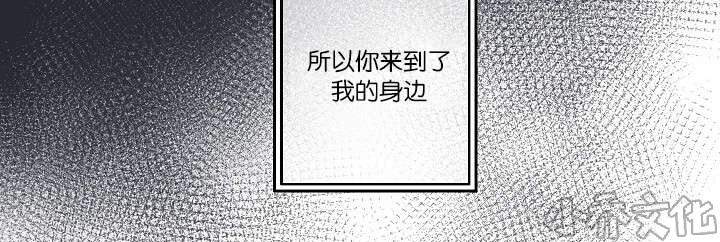 第25章 还是屈服了-33