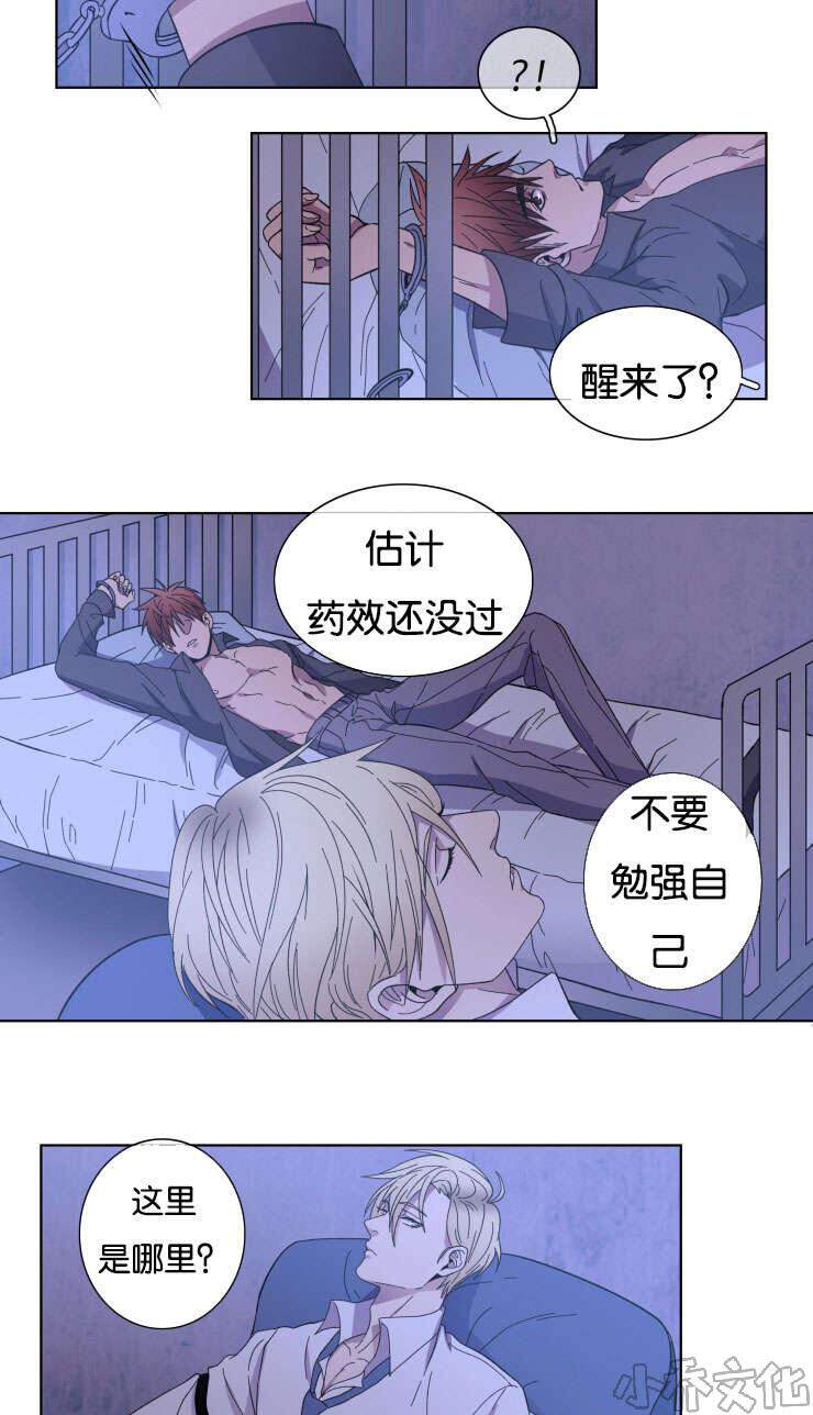 第24章 我的心意-11