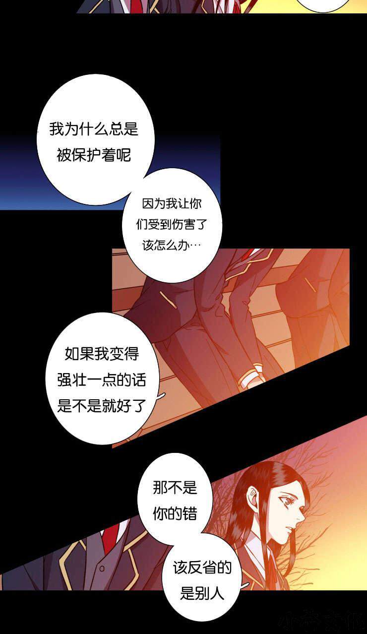 第29章 保护-9