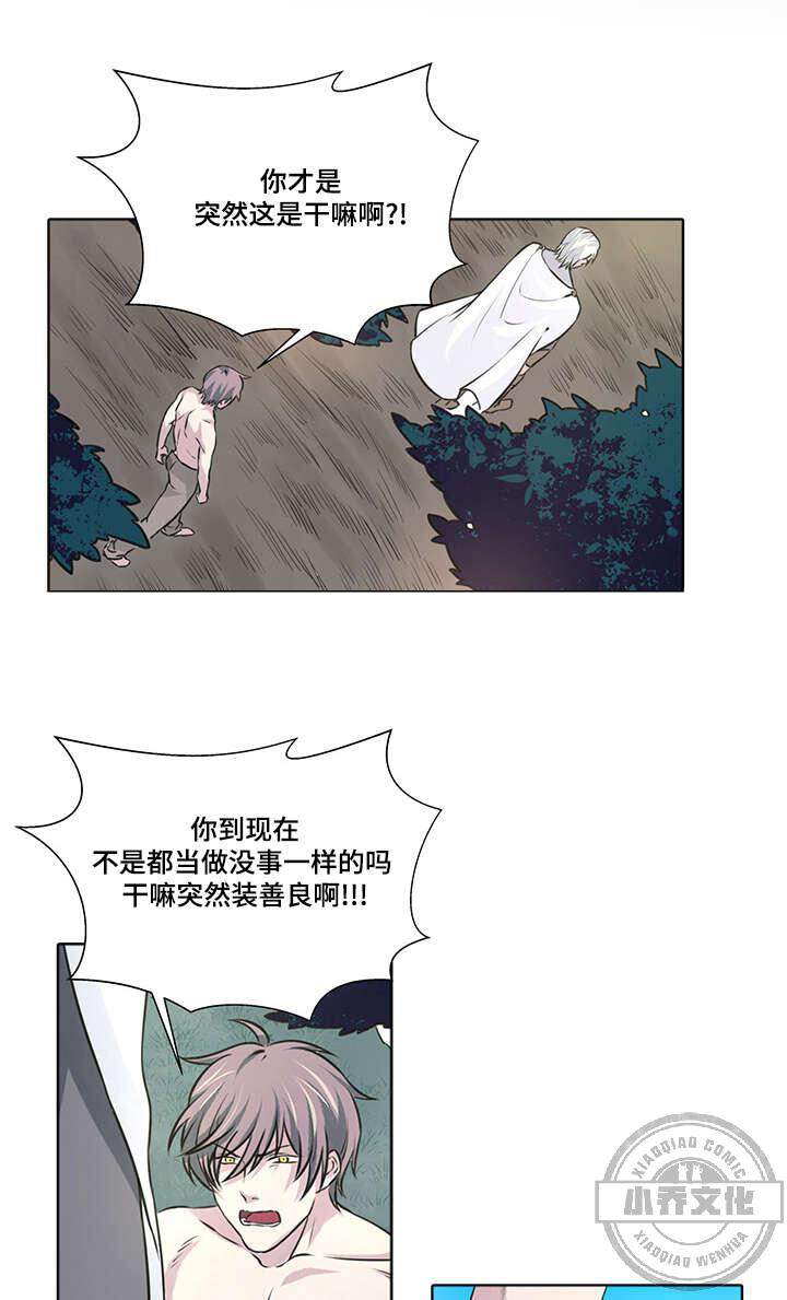 第11章 良心发现-3