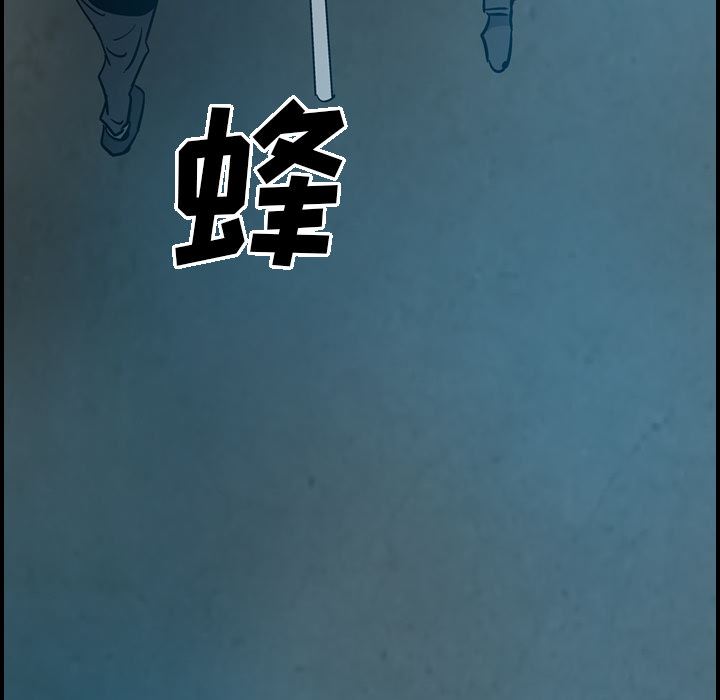 经纪人：11-95