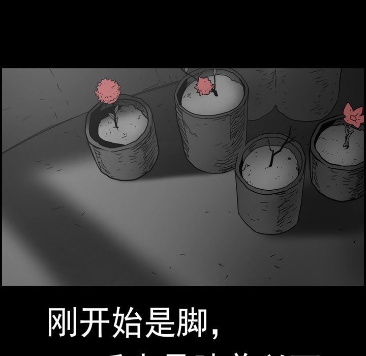 战斗风筝【完结】：20-81