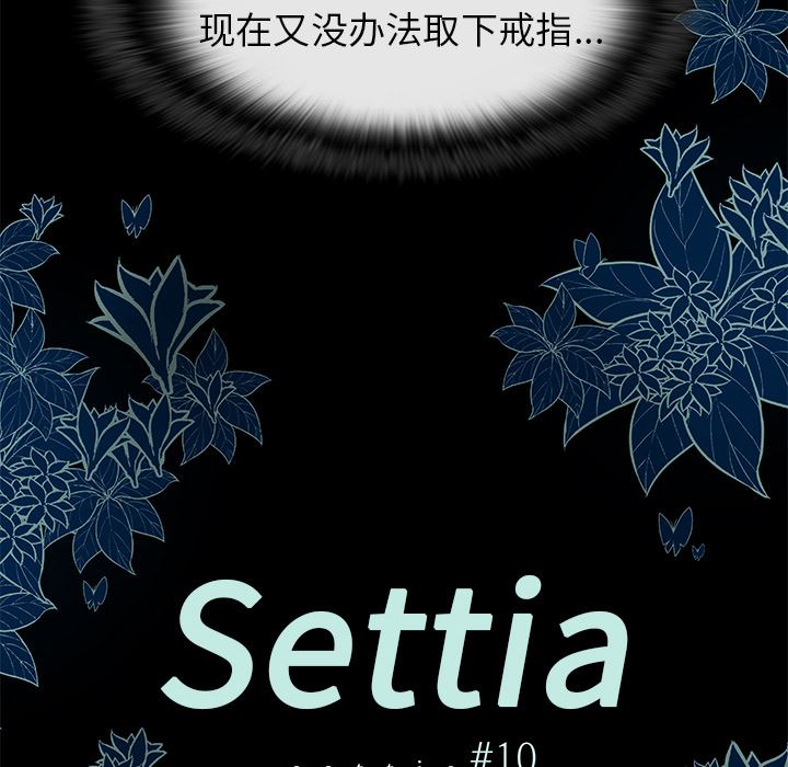 Settia：10-5