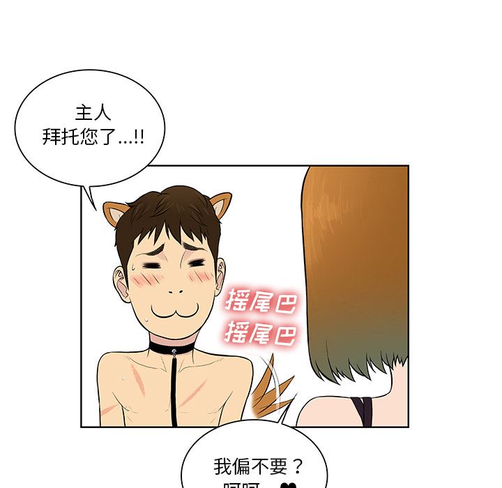 被女神环绕的男人：55-50